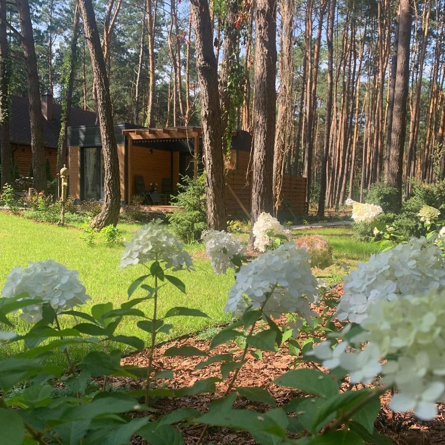 Uroczy Maly Domek Na Lesnej Dzialce - Losiowka Losie Εξωτερικό φωτογραφία